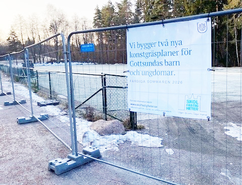 Byggvepor på stängsling.