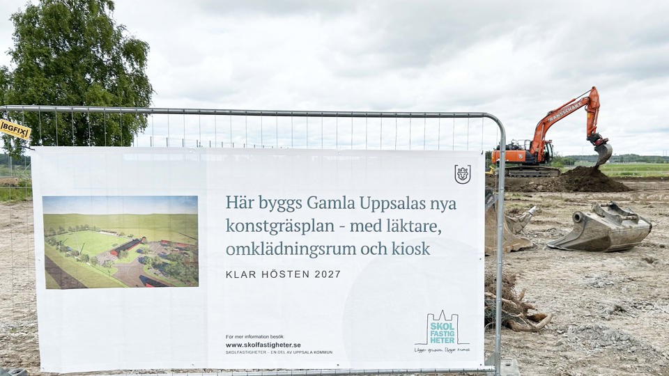 Byggvepa på stängsel med en orange grävmaskin i bakgrunden. 