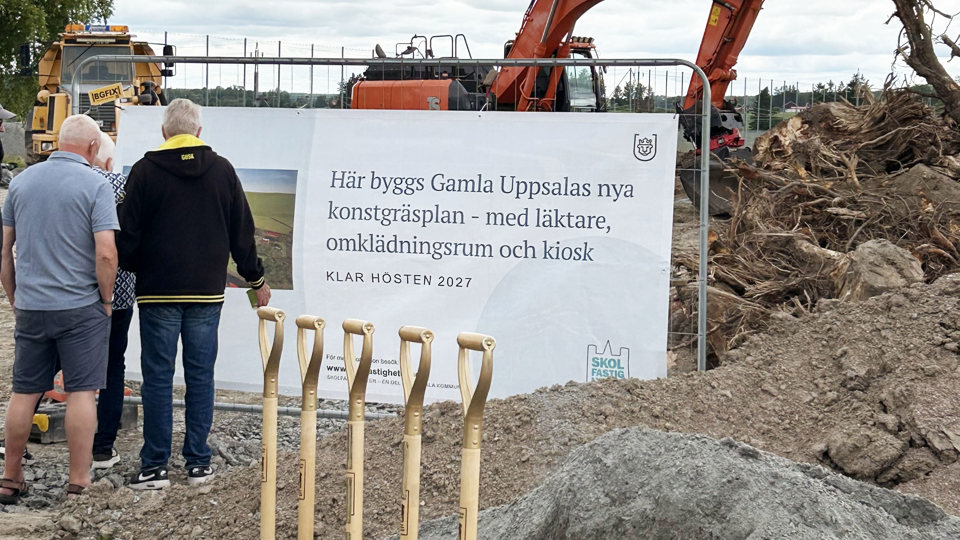 Äldre män tittar på en vepa vid en byggplats, med en spade i förgrunden.