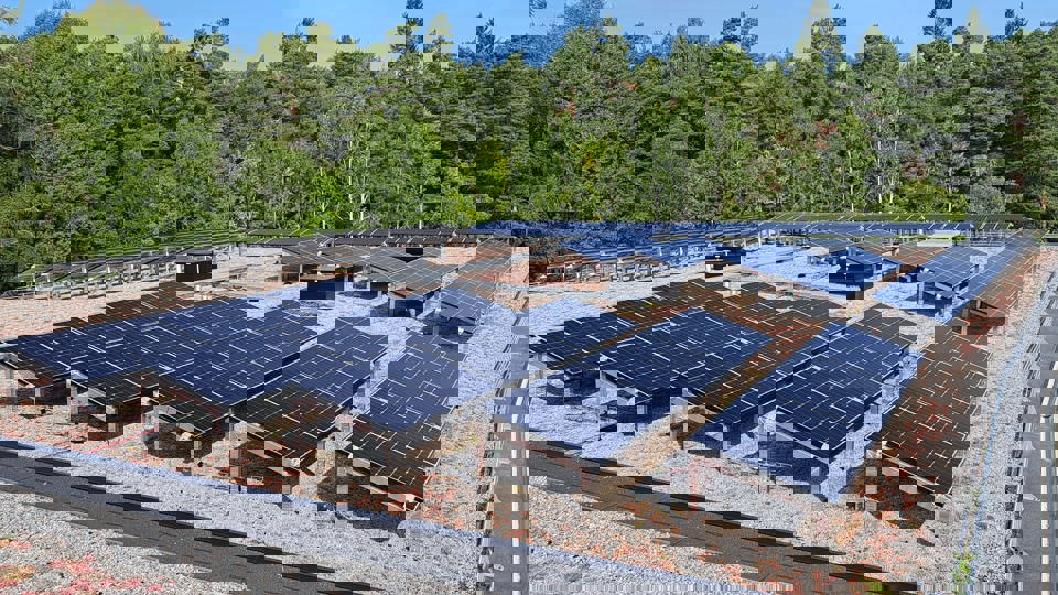 Solceller monterade på sedumtak vid Rosendals skola