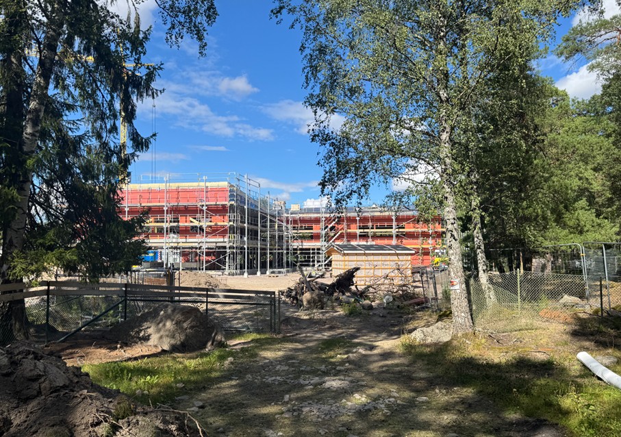 Byggnation av en ny förskola med omgivande träd.